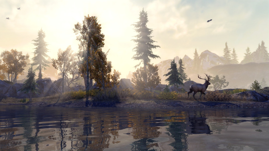 The Elder Scrolls Online will be optimized for Xbox Series X |  S June 8